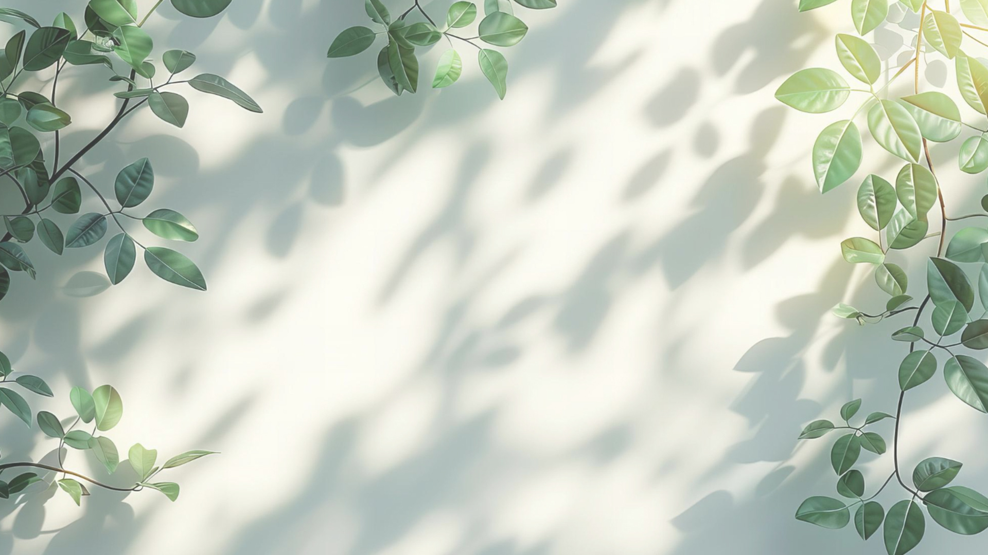 コンセプト